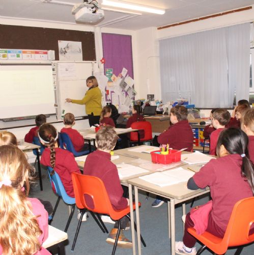 Snowy Owls Year 3/4 Class